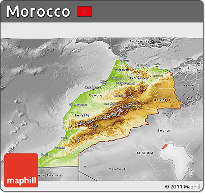 Physical 3D Map of Morocco, desaturated