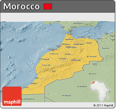 Savanna Style 3D Map of Morocco