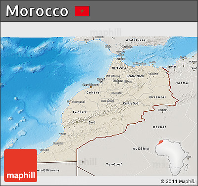 Shaded Relief 3D Map of Morocco, semi-desaturated, land only