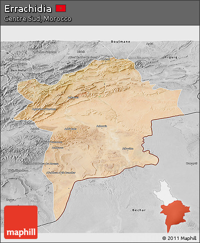 Satellite 3D Map of Errachidia, desaturated