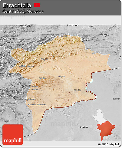 Satellite 3D Map of Errachidia, desaturated