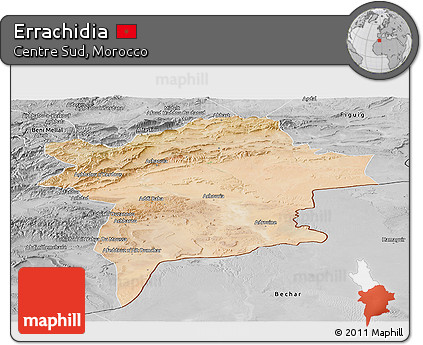 Satellite Panoramic Map of Errachidia, desaturated