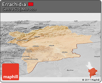Satellite Panoramic Map of Errachidia, desaturated