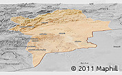 Satellite Panoramic Map of Errachidia, desaturated