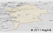 Shaded Relief Panoramic Map of Errachidia, desaturated