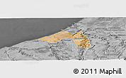 Satellite Panoramic Map of Skhirate Temara, desaturated