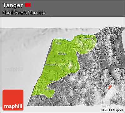 Physical 3D Map of Tanger, desaturated
