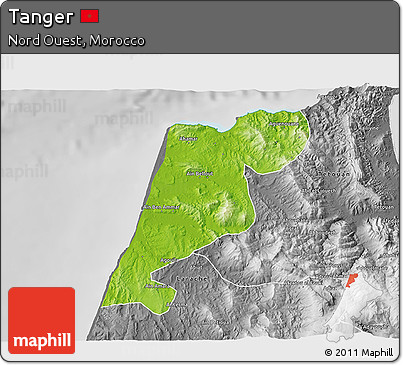 Physical 3D Map of Tanger, desaturated