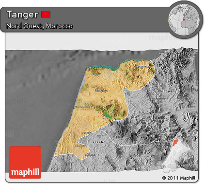Satellite 3D Map of Tanger, desaturated