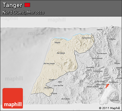 Shaded Relief 3D Map of Tanger, desaturated
