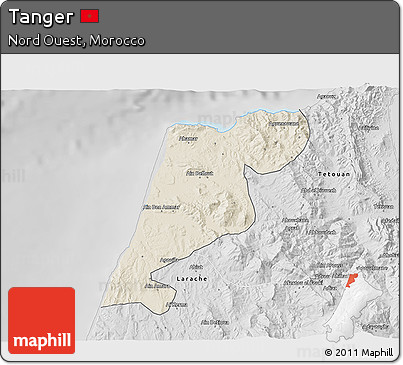 Shaded Relief 3D Map of Tanger, desaturated