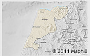 Shaded Relief 3D Map of Tanger, desaturated