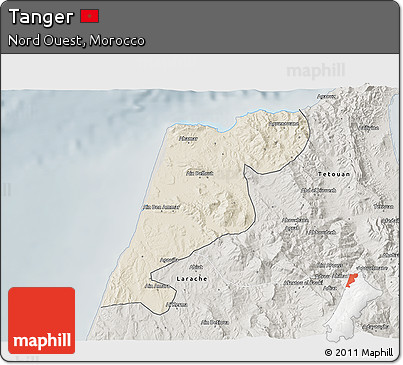 Shaded Relief 3D Map of Tanger, semi-desaturated