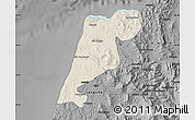 Shaded Relief Map of Tanger, darken, desaturated