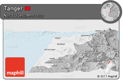 Gray Panoramic Map of Tanger