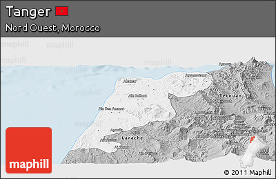 Gray Panoramic Map of Tanger
