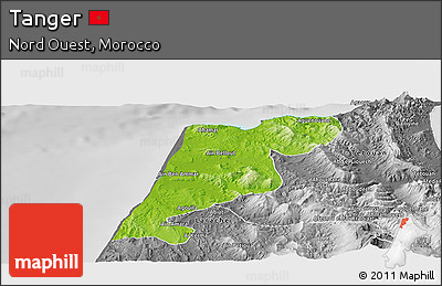 Physical Panoramic Map of Tanger, desaturated