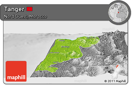 Physical Panoramic Map of Tanger, desaturated
