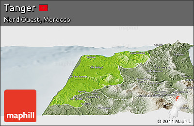 Physical Panoramic Map of Tanger, semi-desaturated