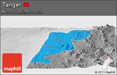 Political Panoramic Map of Tanger, desaturated
