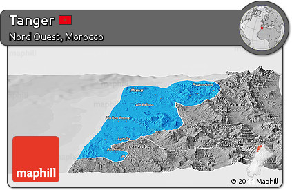 Political Panoramic Map of Tanger, desaturated