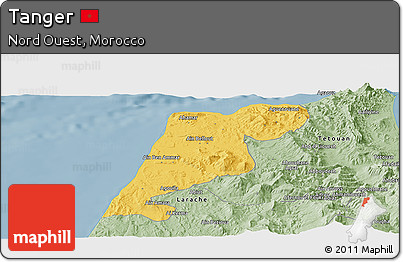 Savanna Style Panoramic Map of Tanger