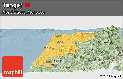 Savanna Style Panoramic Map of Tanger