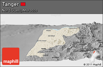 Shaded Relief Panoramic Map of Tanger, darken, desaturated