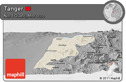 Shaded Relief Panoramic Map of Tanger, darken, desaturated