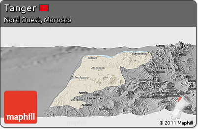 Shaded Relief Panoramic Map of Tanger, darken, desaturated