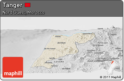 Shaded Relief Panoramic Map of Tanger, desaturated