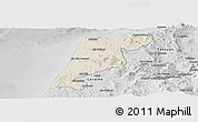 Shaded Relief Panoramic Map of Tanger, desaturated