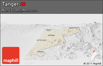 Shaded Relief Panoramic Map of Tanger, lighten, desaturated