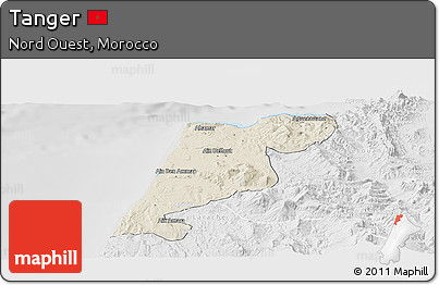 Shaded Relief Panoramic Map of Tanger, lighten, desaturated