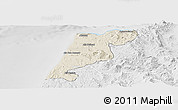 Shaded Relief Panoramic Map of Tanger, lighten, desaturated