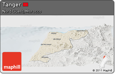 Shaded Relief Panoramic Map of Tanger, lighten, semi-desaturated