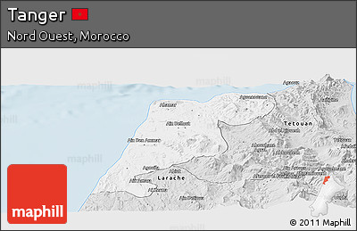 Silver Style Panoramic Map of Tanger
