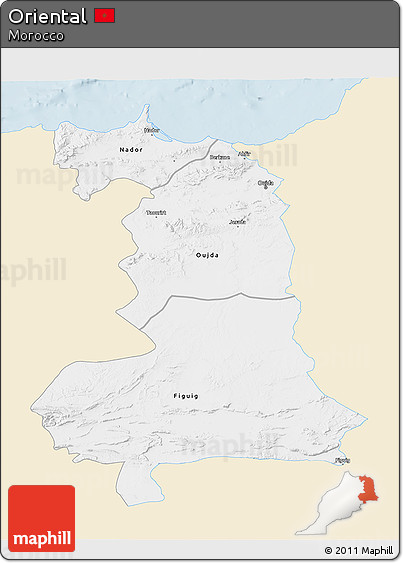 Classic Style 3D Map of Oriental, single color outside