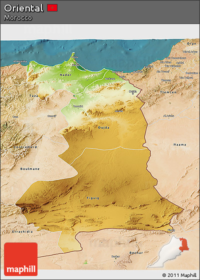Physical 3D Map of Oriental, satellite outside