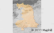 Satellite 3D Map of Oriental, desaturated