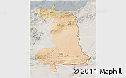 Satellite 3D Map of Oriental, lighten, semi-desaturated