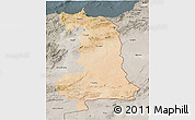 Satellite 3D Map of Oriental, semi-desaturated