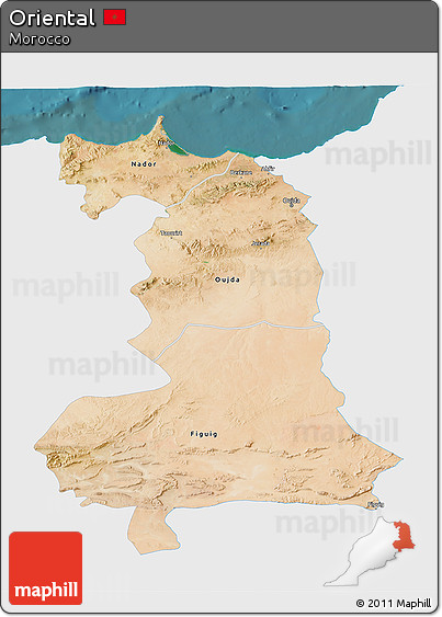Satellite 3D Map of Oriental, single color outside