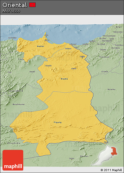 Savanna Style 3D Map of Oriental