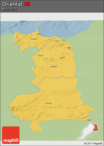 Savanna Style 3D Map of Oriental, single color outside