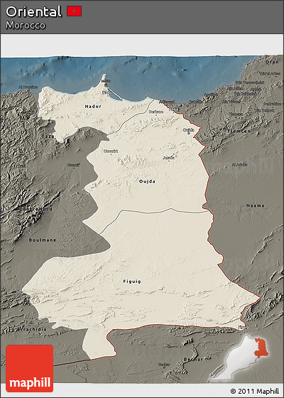 Shaded Relief 3D Map of Oriental, darken