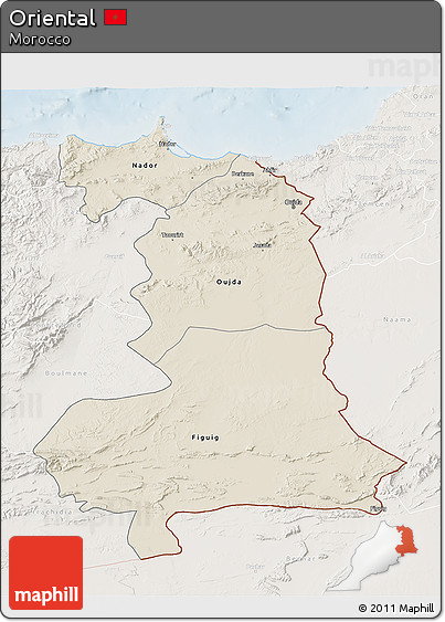 Shaded Relief 3D Map of Oriental, lighten