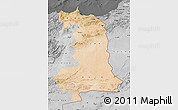 Satellite Map of Oriental, desaturated
