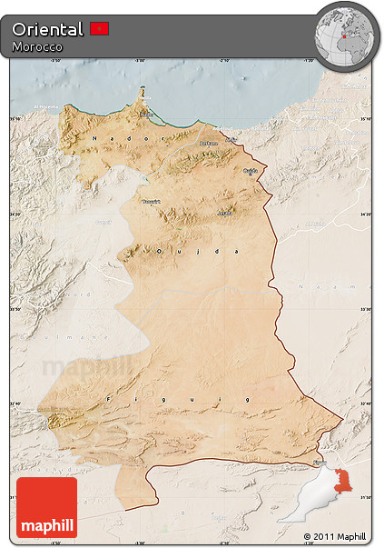 Satellite Map of Oriental, lighten