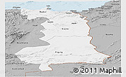 Gray Panoramic Map of Oriental